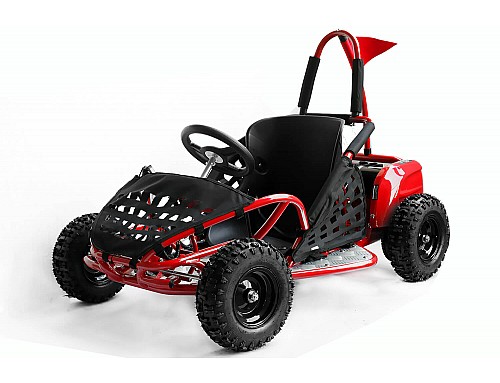 Kids Electric Mini Buggies 450W - 1000W, 36V - 60V, E-Buggy